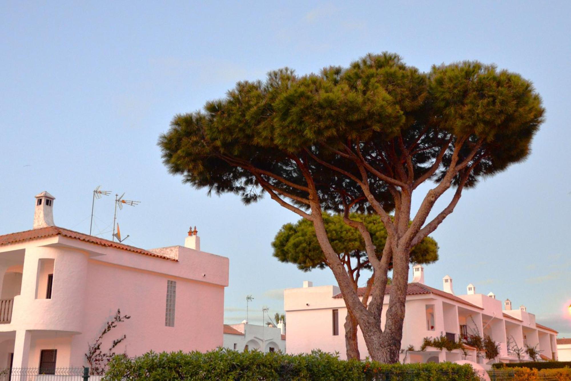 Casa Lea *